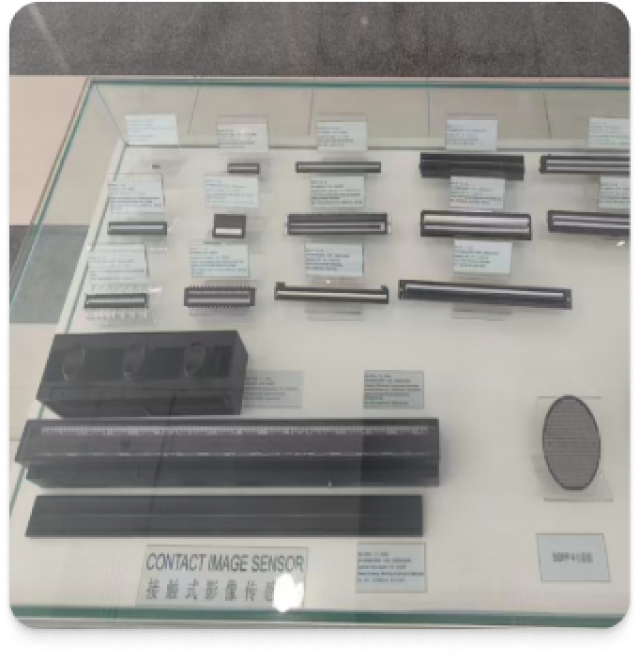 Frame 156